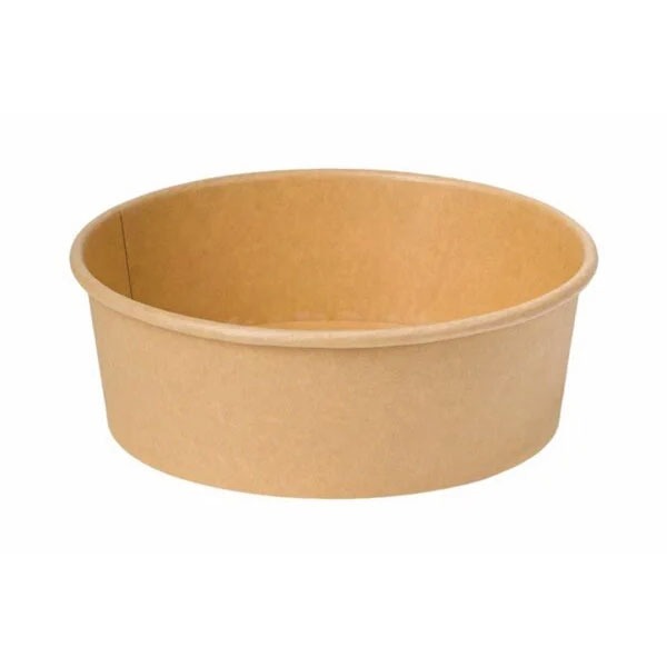 Kraft Paper Bowl Manufacturers In India At Clara Stamps Blog